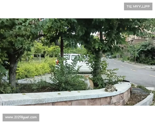 五彩神箭赛事推出环保新举措 可降解箭靶与电子计分系统助力减碳40%