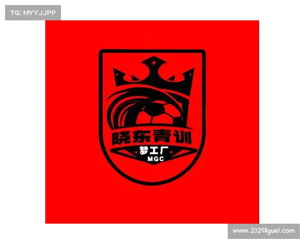 意甲联赛聚焦青训体系建设全面打造可持续足球人才培养梯队